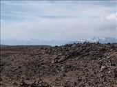 Patapampa - 4910M a.s.l: by dannygoesdiving, Views[582]