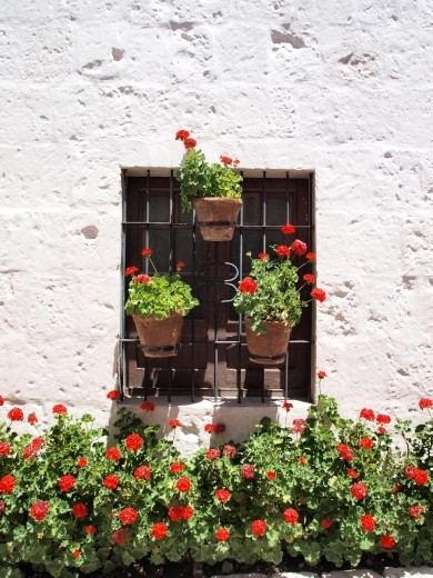 Arequipa - Monasterio  de Santa Catalina
