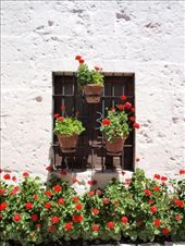Arequipa - Monasterio  de Santa Catalina
: by dannygoesdiving, Views[336]