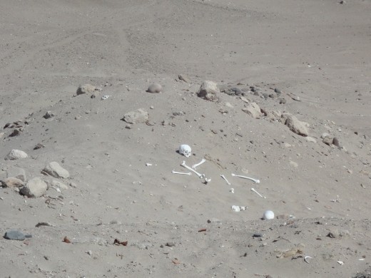Nazca - Cahuachi -  Grave robbers !
