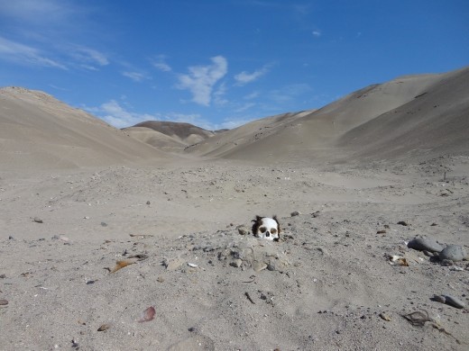Nazca - Cahuachi -  Grave robbers !
