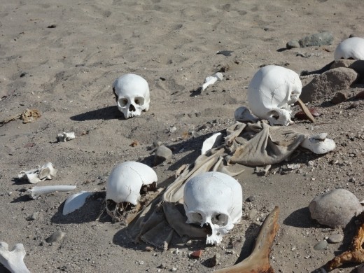 Nazca - Cahuachi -  Grave robbers !