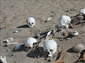 Nazca - Cahuachi -  Grave robbers !: by dannygoesdiving, Views[463]