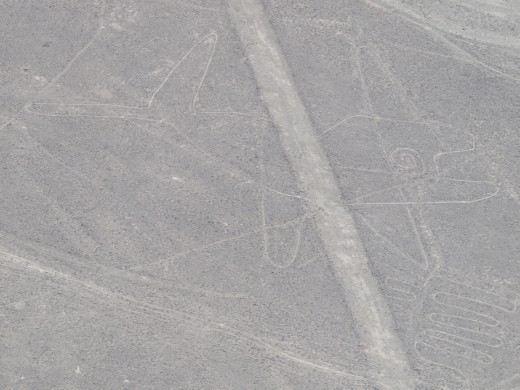Nazca - Nazca Lines - whale
