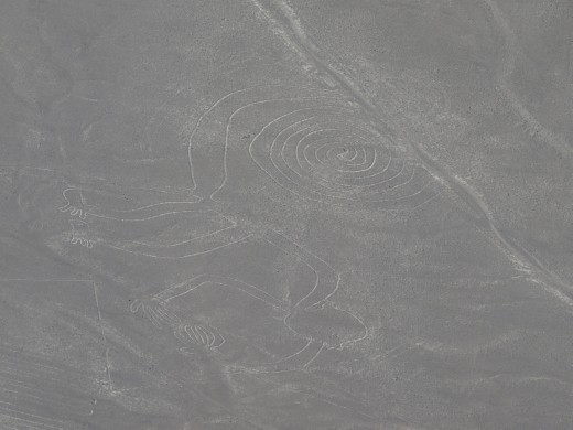 Nazca - Nazca Lines - monkey