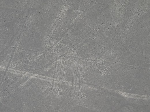 Nazca - Nazca Lines - dog