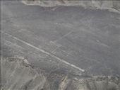 Nazca - Nazca Lines - hummingbird: by dannygoesdiving, Views[436]