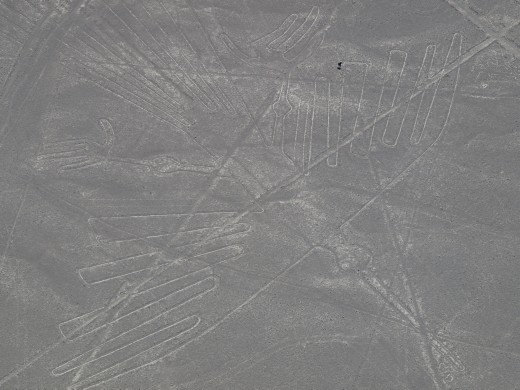 Nazca - Nazca Lines - Condor