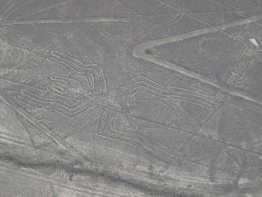 Nazca - Nazca Lines - spider
