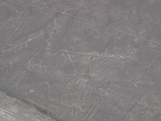 Nazca - Nazca Lines - pelican