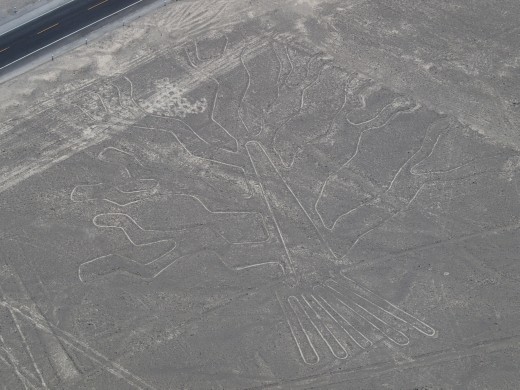 Nazca - Nazca Lines - tree