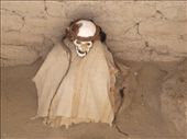 Nazca - Chauchilla cemetery: by dannygoesdiving, Views[616]