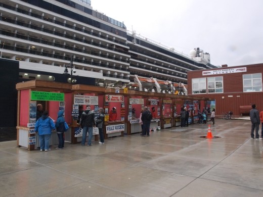 Tour touts, all fighting for the tourist $