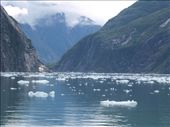 Tracey Arm Fjjord: by dannygoesdiving, Views[203]