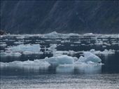 Tracey Arm Fjjord: by dannygoesdiving, Views[168]