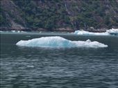 Tracey Arm Fjjord: by dannygoesdiving, Views[218]