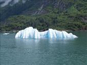Tracey Arm Fjjord: by dannygoesdiving, Views[202]