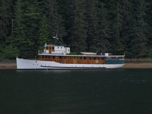 MV Discovery