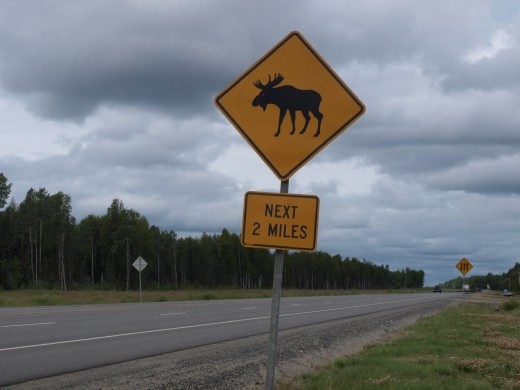 Where ? Please show yourself !