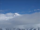 Flying with Talkeetna Air Taxi - summit of Mt McKinley: by dannygoesdiving, Views[435]