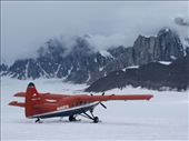 Flying with Talkeetna Air Taxi - Glacial landing: by dannygoesdiving, Views[386]