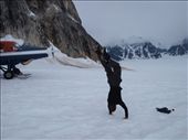 Flying with Talkeetna Air Taxi - Glacial landing: by dannygoesdiving, Views[399]