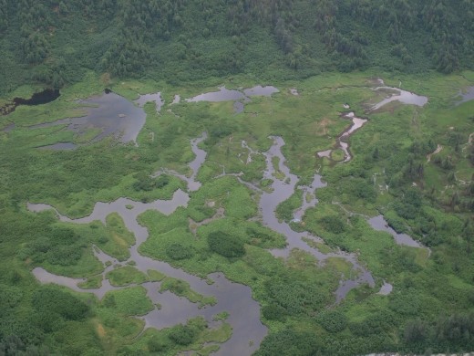 Flying with Talkeetna Air Taxi 
