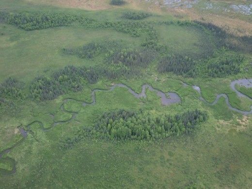 Flying with Talkeetna Air Taxi 