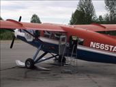 Flying with Talkeetna Air Taxi : by dannygoesdiving, Views[256]