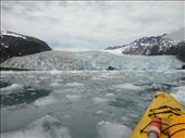 Kayak Day - Aialik Glacier - pack ice: by dannygoesdiving, Views[361]
