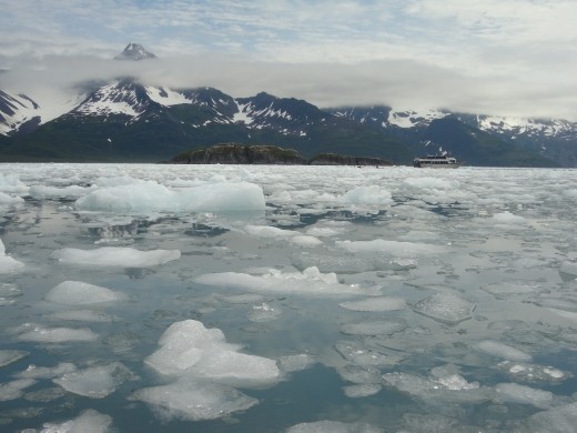 Kayak Day - Aialik Glacier - pack ice