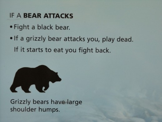 Harding Ice Field Trail - warning sign