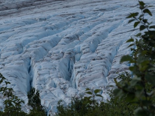 Harding Ice Field Trail -