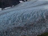 Harding Ice Field Trail - exit glacier: by dannygoesdiving, Views[297]