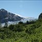 Harding Ice Field Trail - exit glacier Views[250]