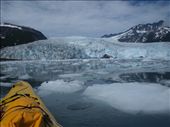 Kayak Day - Aialik Glacier - pack ice: by dannygoesdiving, Views[404]