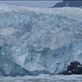 Kayak Day - Aialik Glacier Views[296]