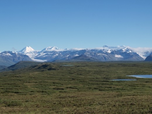 Denali Highway - view from our camper when we awoke
