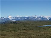 Denali Highway - view from our camper when we awoke: by dannygoesdiving, Views[329]