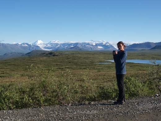 Denali Highway - view from our camper when we awoke