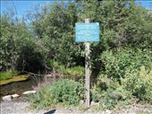 McCarthy - towns water supply: by dannygoesdiving, Views[392]