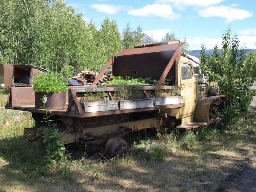 McCarthy - Herb garden