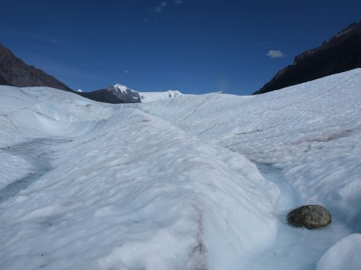 Ice Hiking on Root Glacier 