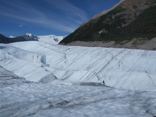 Ice Hiking on Root Glacier 