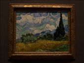 Met Museum - Van Gogh: by dannygoesdiving, Views[351]