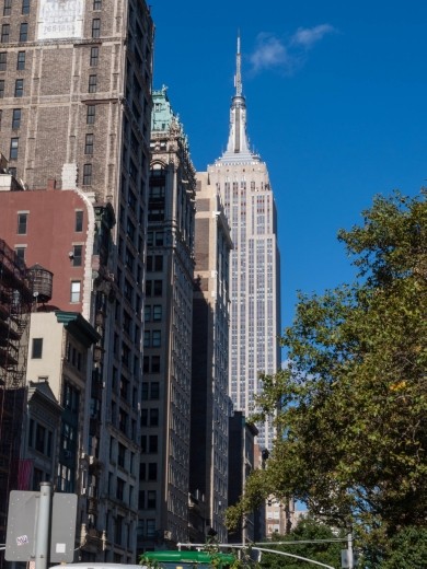 Looking up 5th Avenue