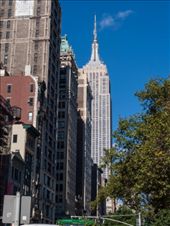 Looking up 5th Avenue: by dannygoesdiving, Views[376]