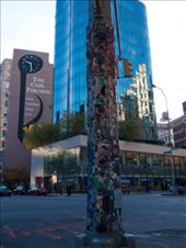 The lamp pole mosaic trail in East Village between Broadway and 8th: by dannygoesdiving, Views[437]