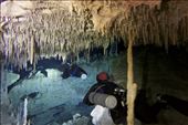 Cenote Chi-Keen (photo taken from facebook fan site): by dannygoesdiving, Views[594]