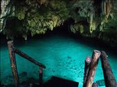 Cenote Pets Cemetery - entrance: by dannygoesdiving, Views[447]